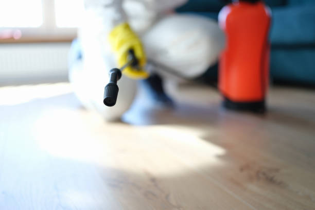 Best Environmental Consulting for Mold Prevention  in Maxwell, CA